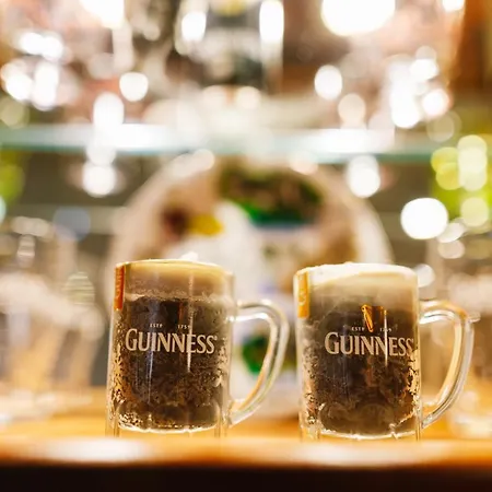 アパートホテル Irish House Međugorje